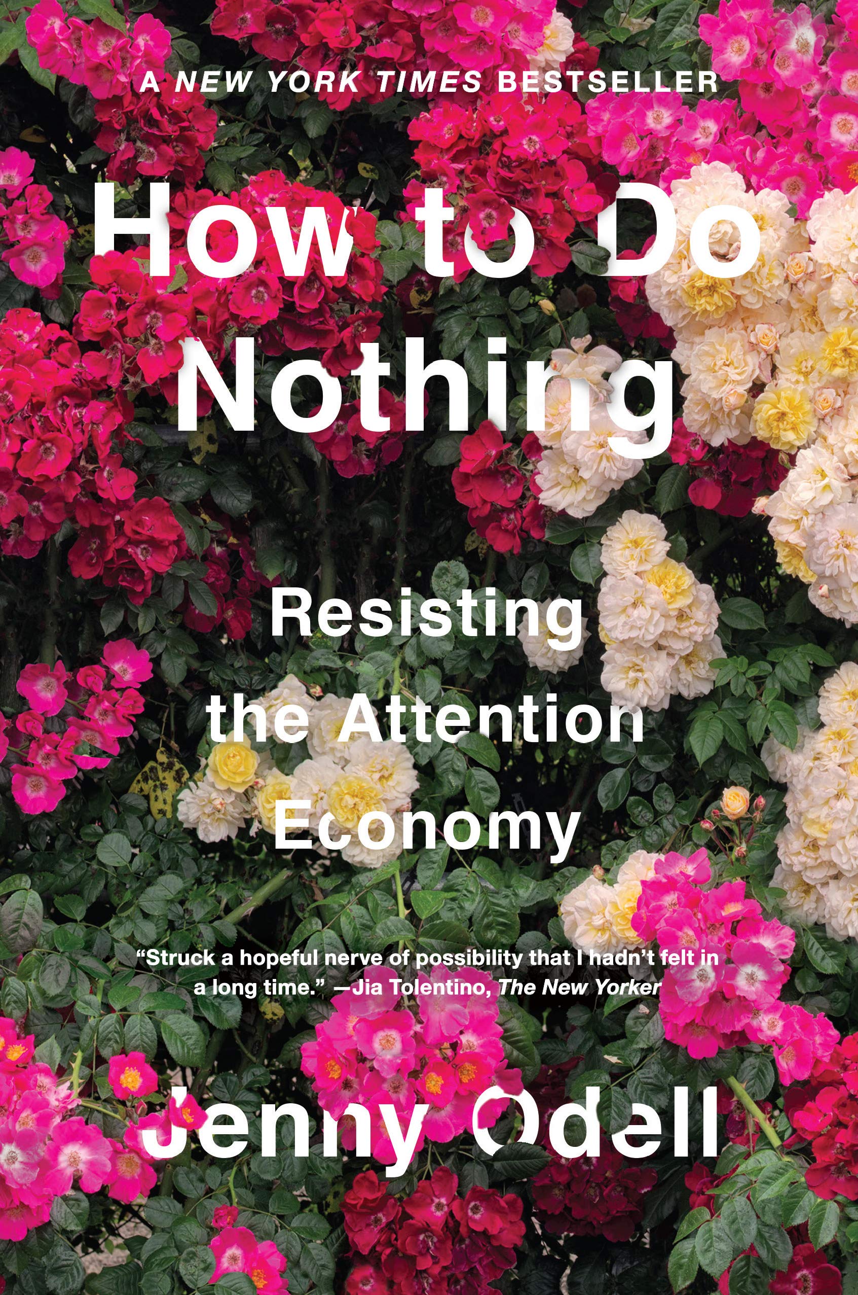 /content/how-to-do-nothing-resisting-the-attention-economy.jpg